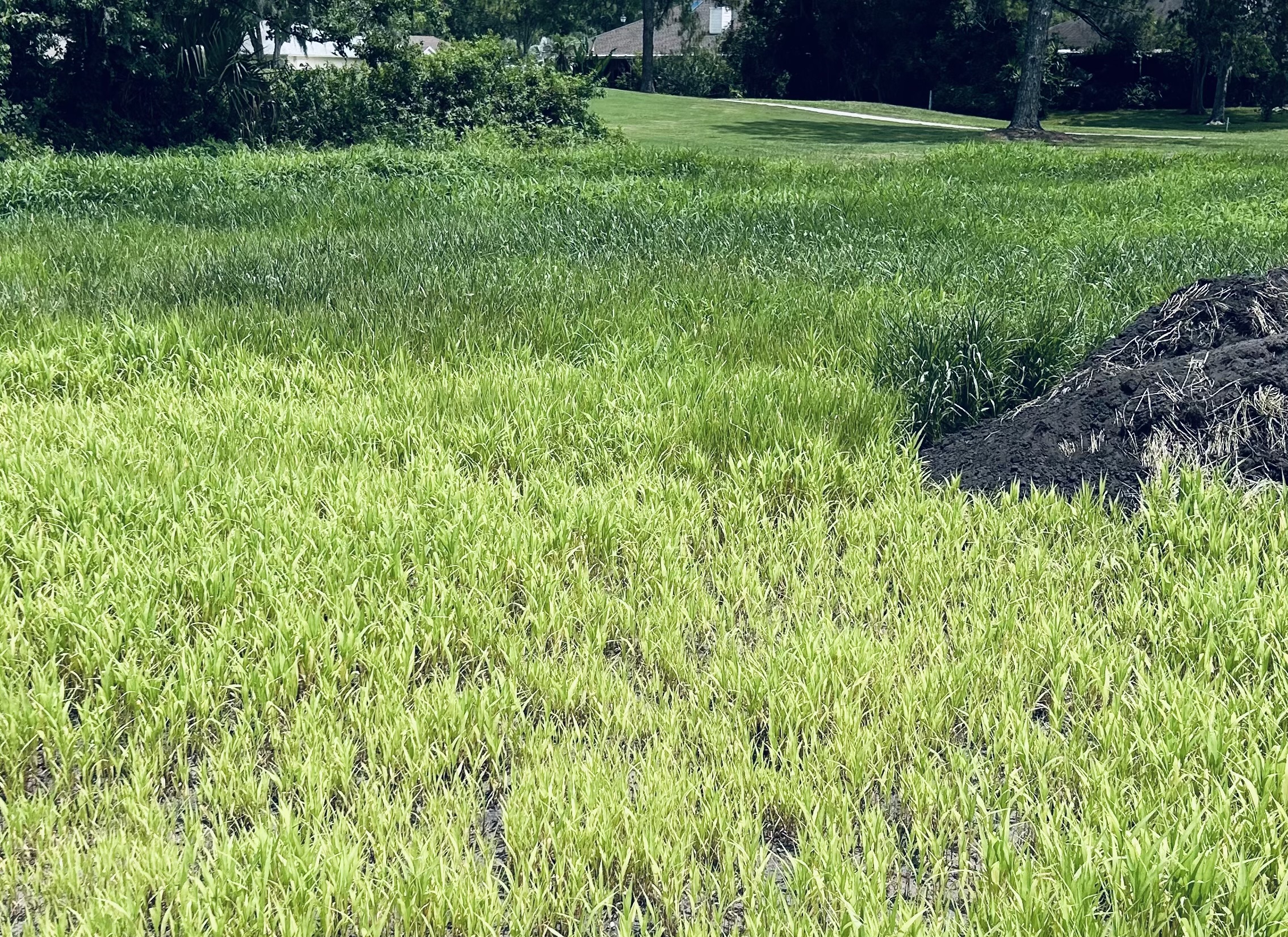 Terra Seeding Service